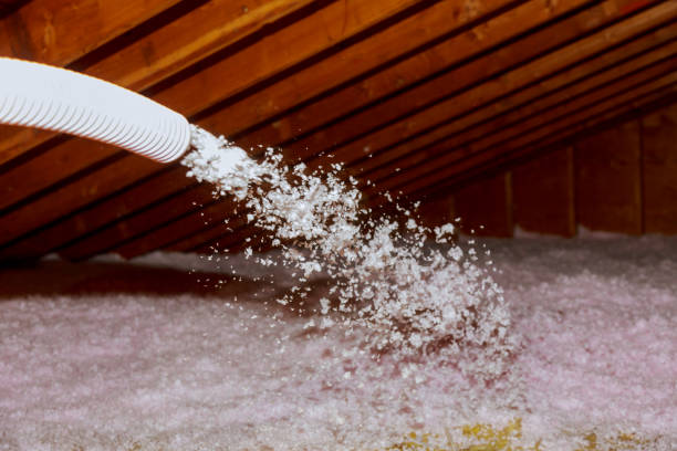 Best Cellulose Insulation in Rosedale, WA